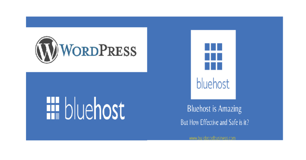 Why Bluehost is the best website hosting service?